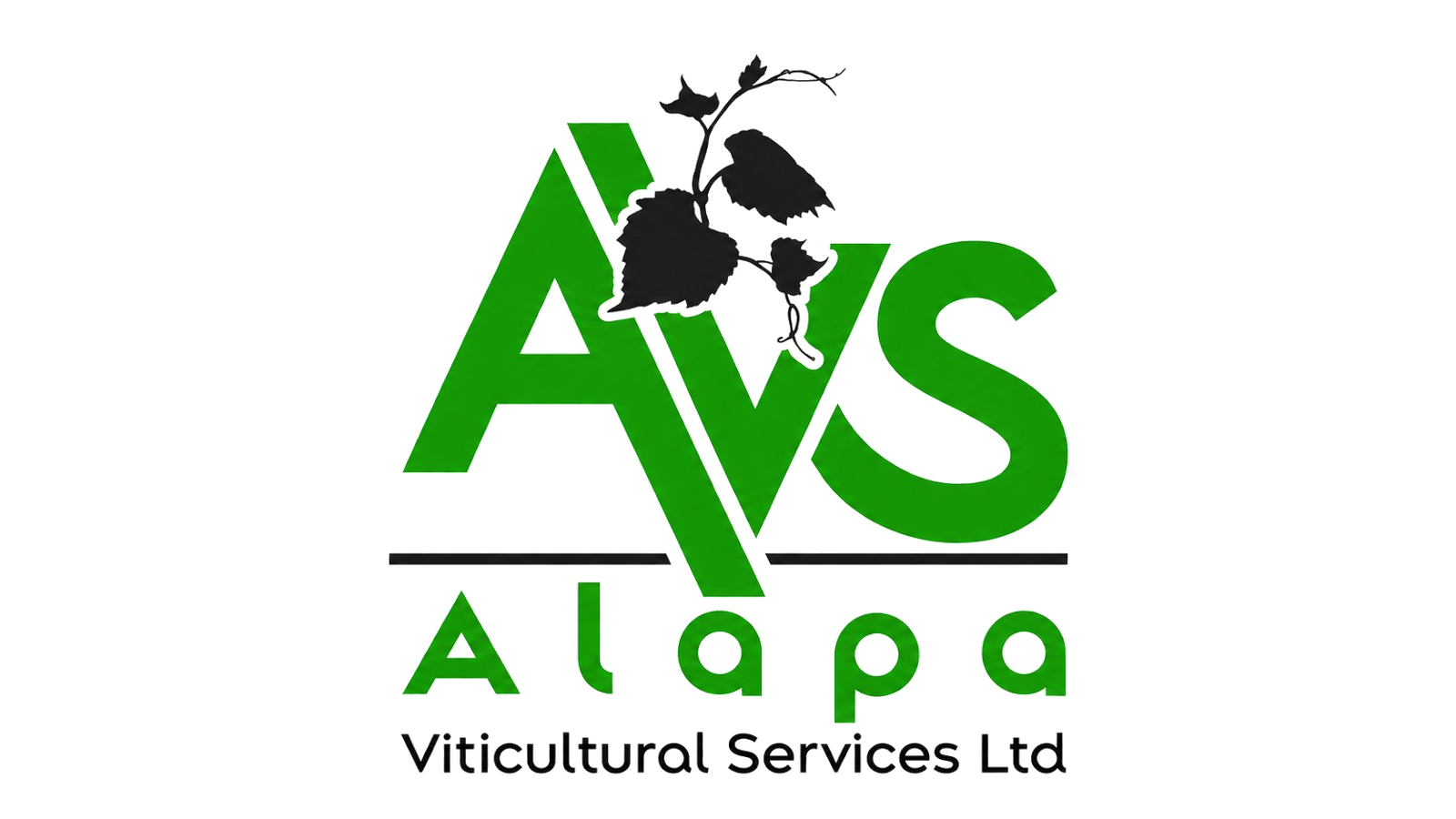 AVS (Alapa)